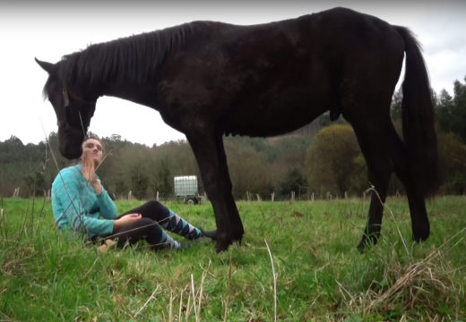 Cata, a rapaza que empatiza cos cabalos